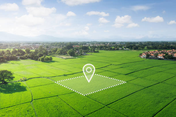 Land Club — Tanzanian diaspora land investment group, Tanzania